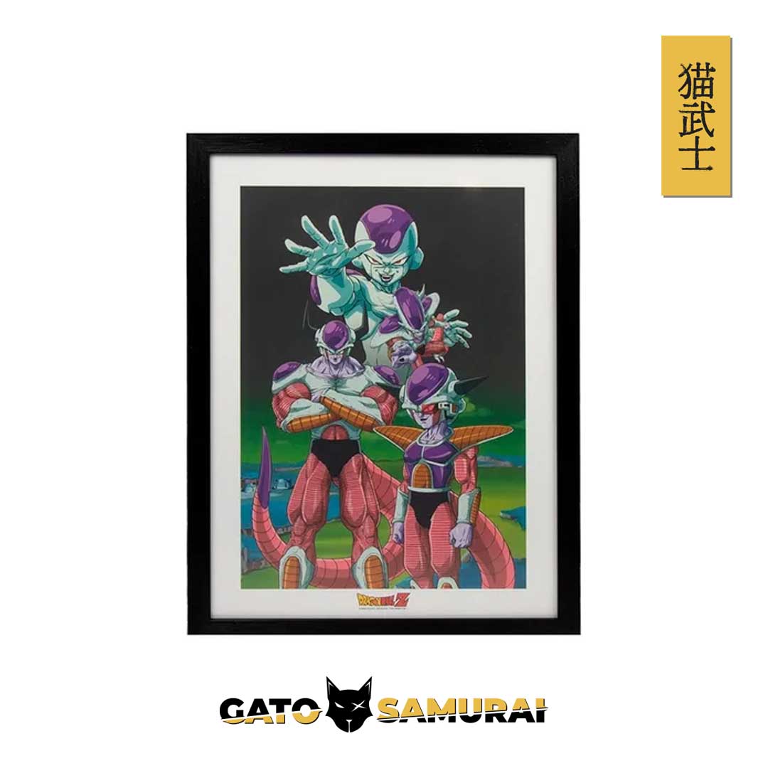 Poster enmarcado 42X32 Transformación Freezer